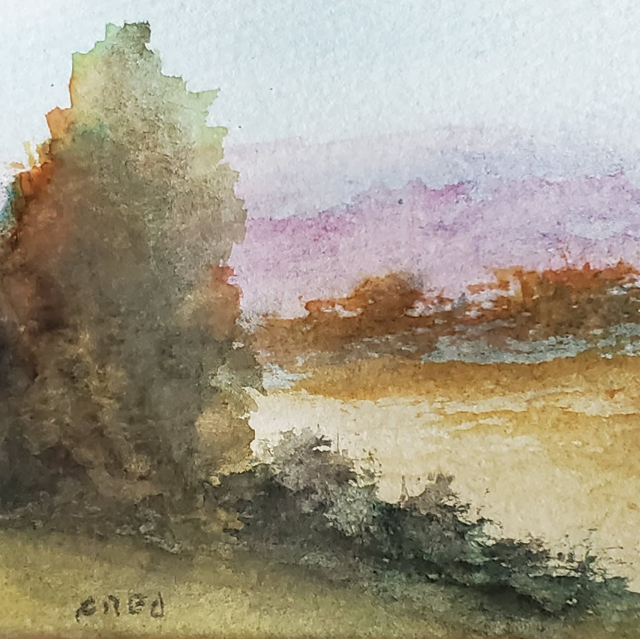 Early Rise - Image 1