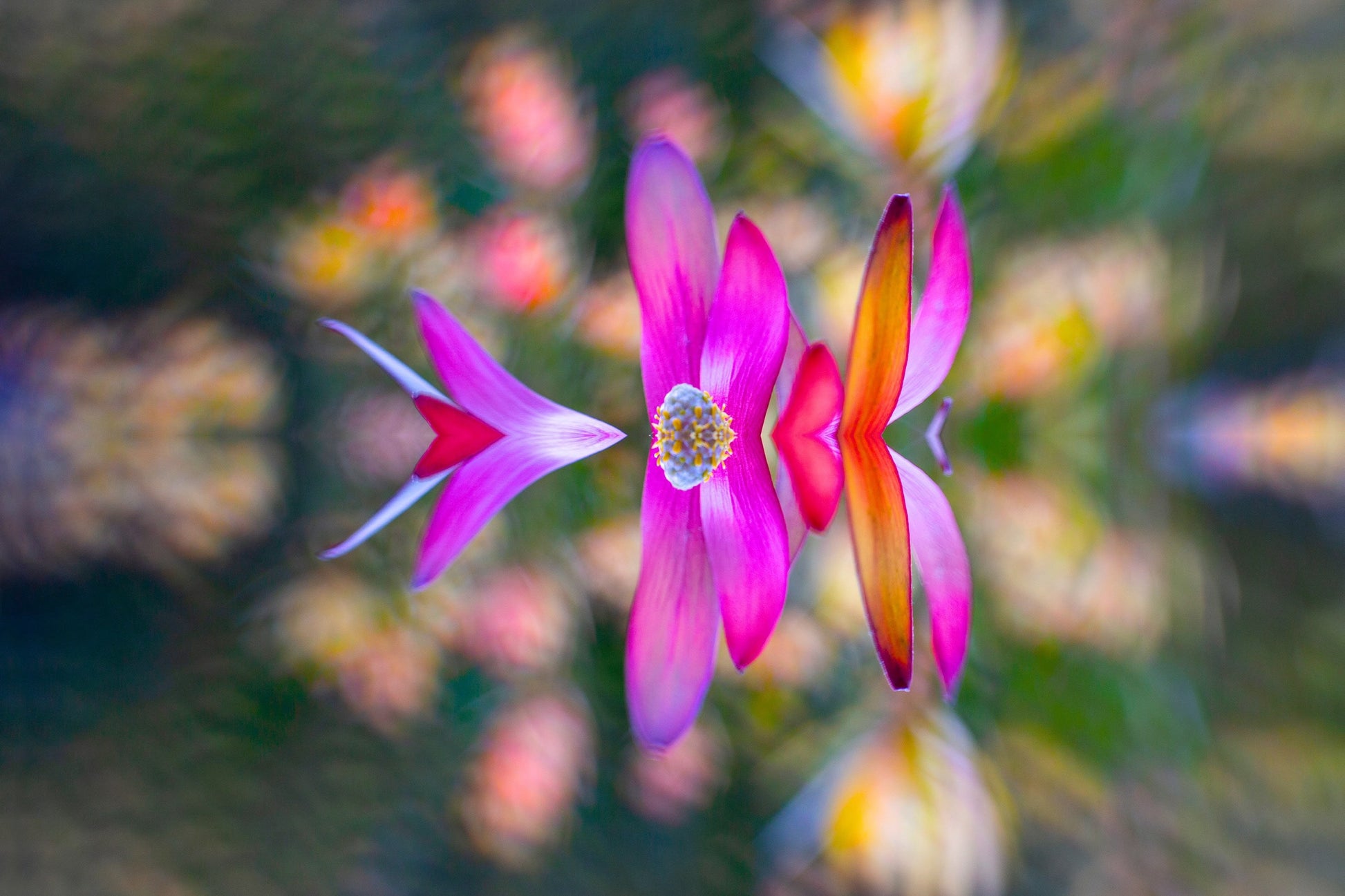 “Solitary” - Image 2