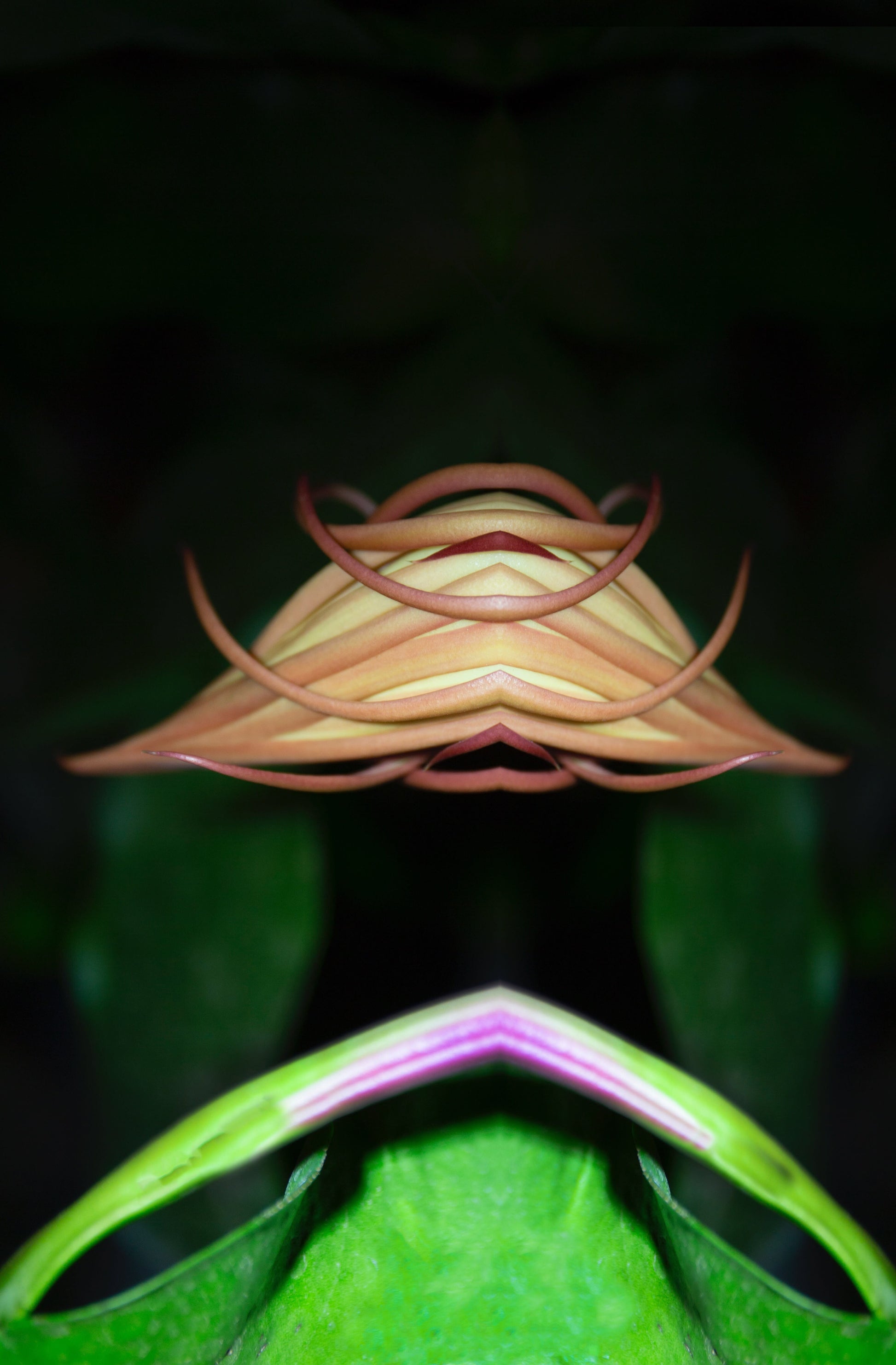 “Solitary” - Image 4