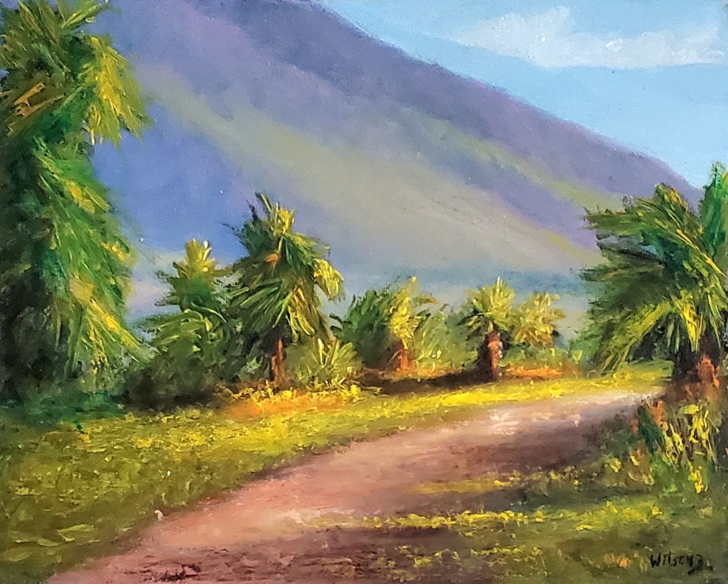 Maui Morning - Image 1