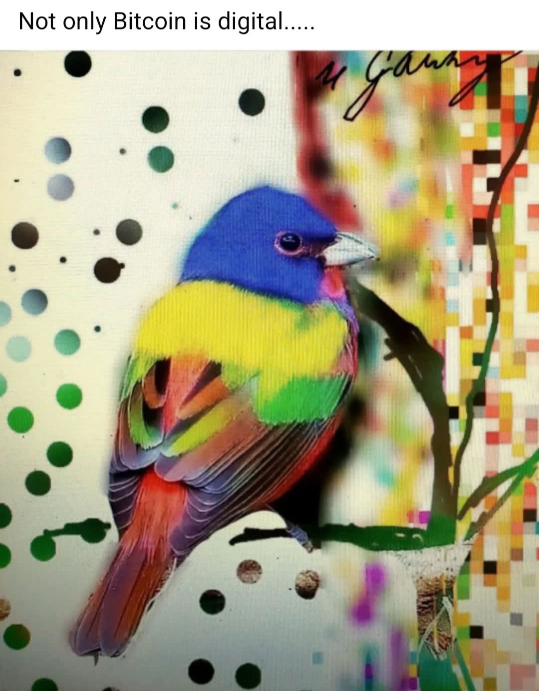 Bitcoin Bird in Mars - Image 1