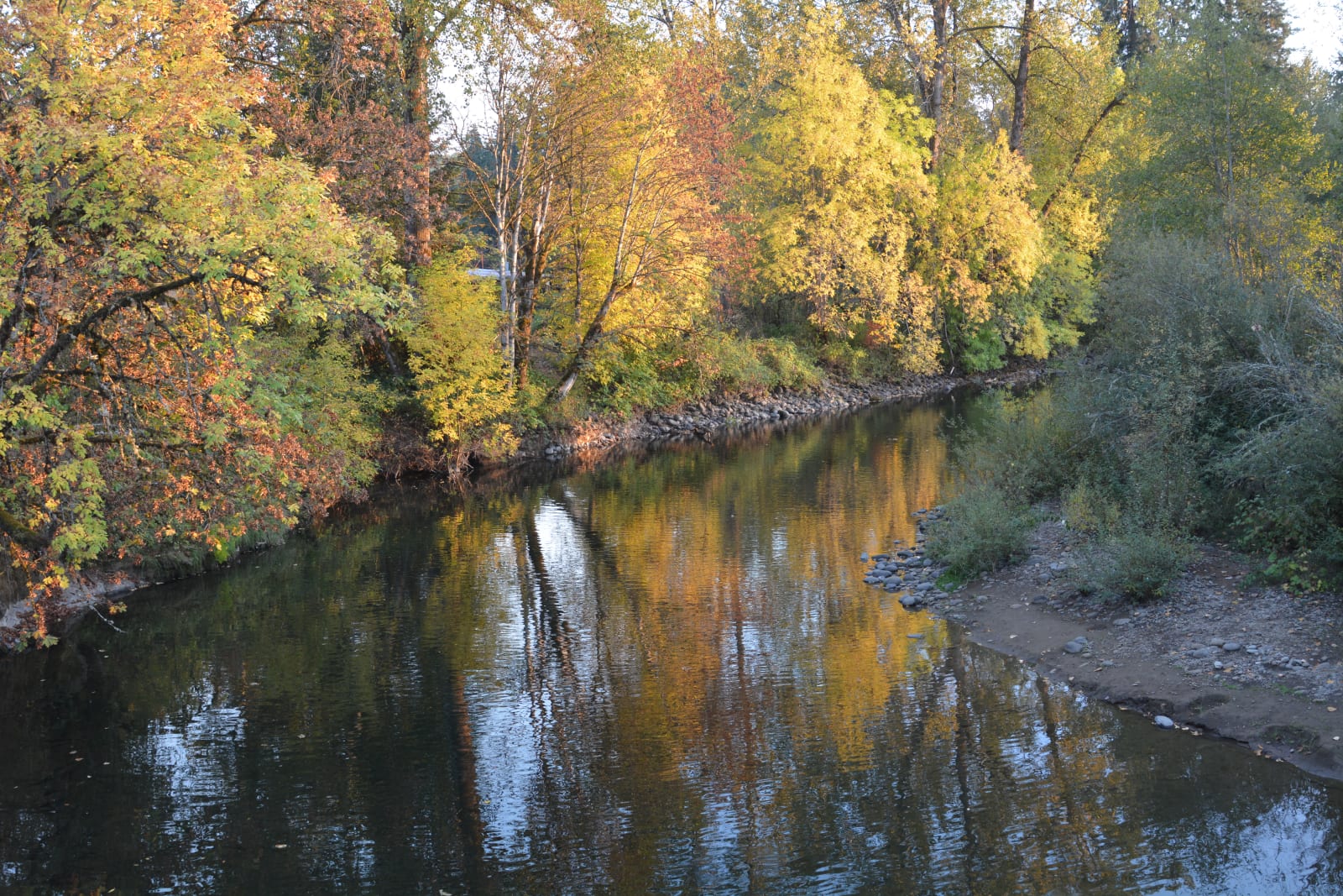 Crabtree Creek in Linn County, Oregon - Image 1