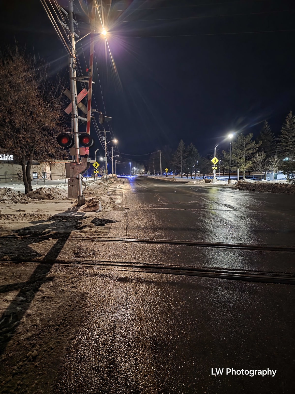 Frozen Light Collection - Image 4