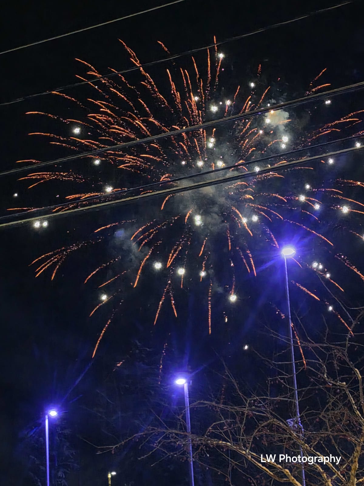 Frozen Light Collection - Image 5