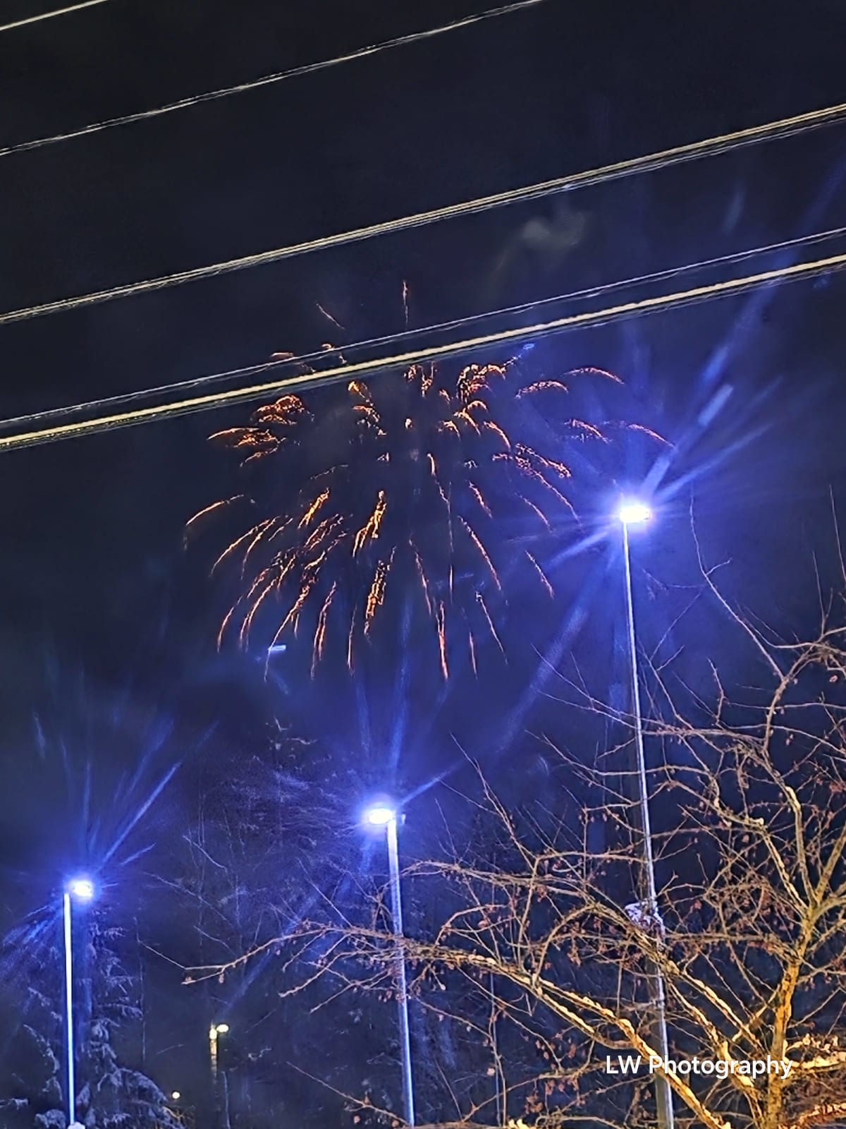 Frozen Light Collection - Image 6