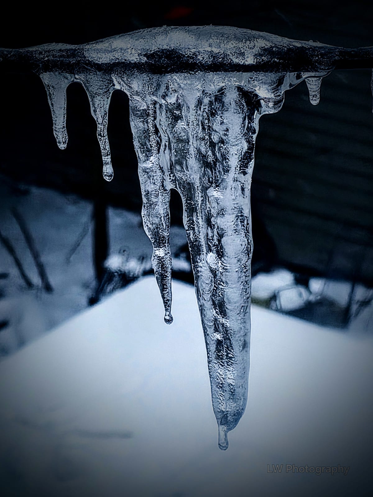 Frozen Light Collection - Image 7