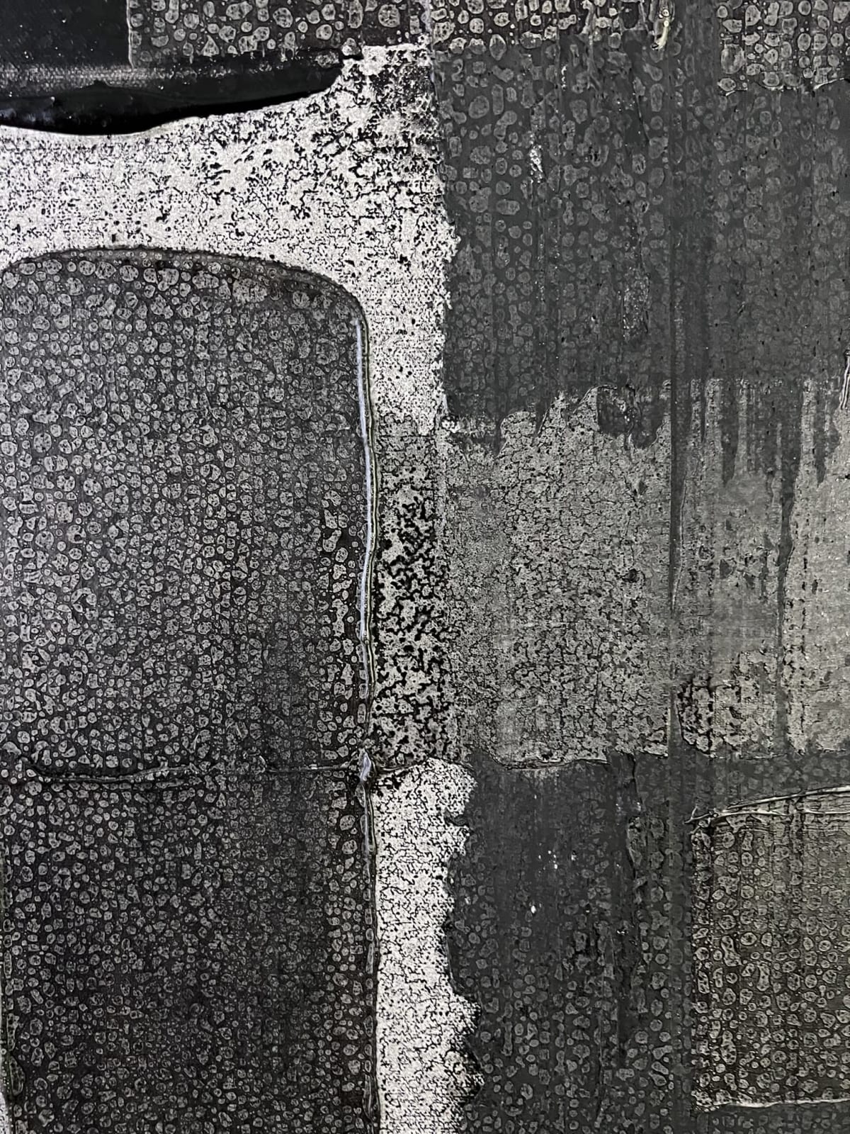 Camouflage - Image 5