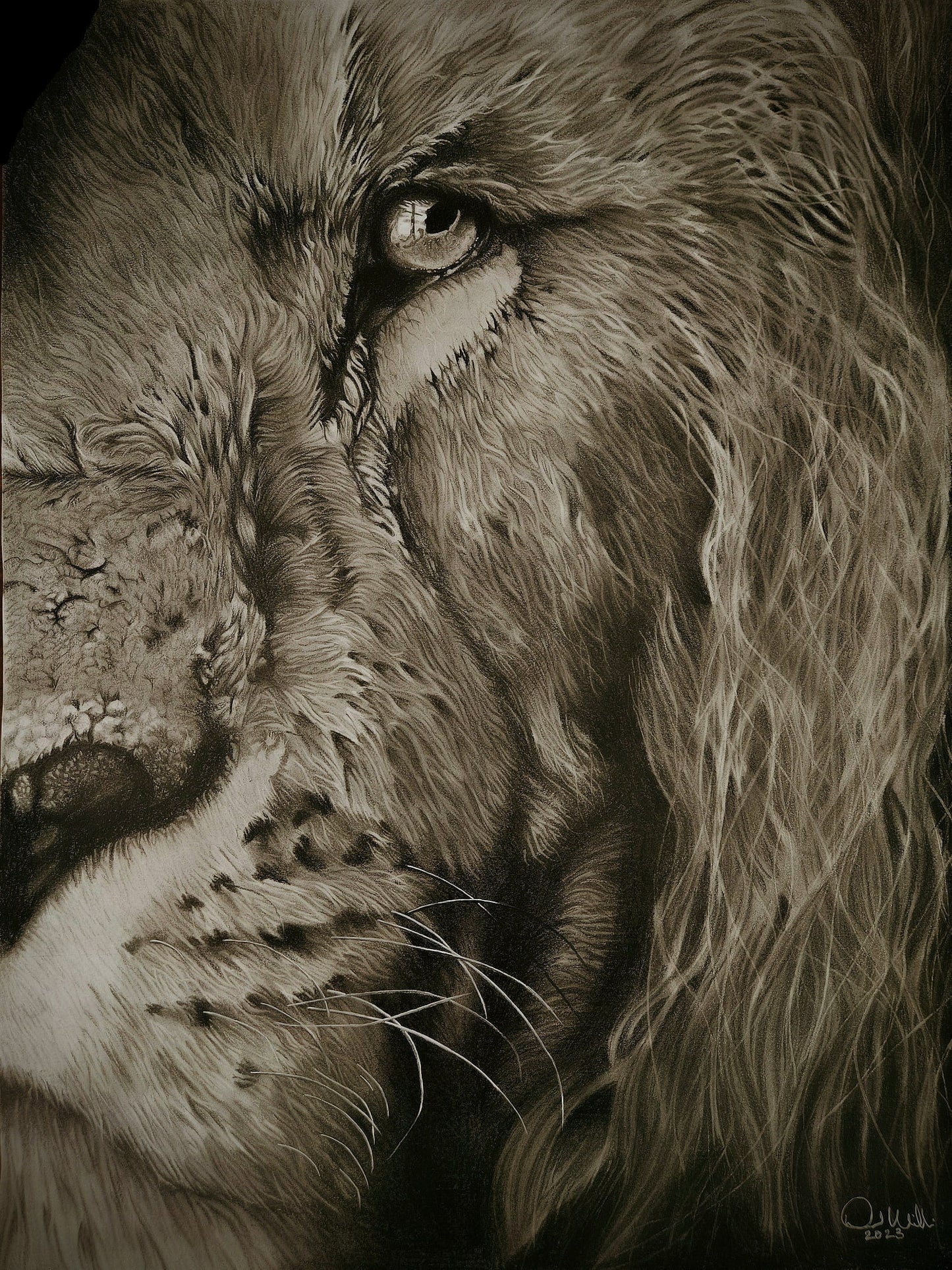 The Lion Worships THE LION - Image 3