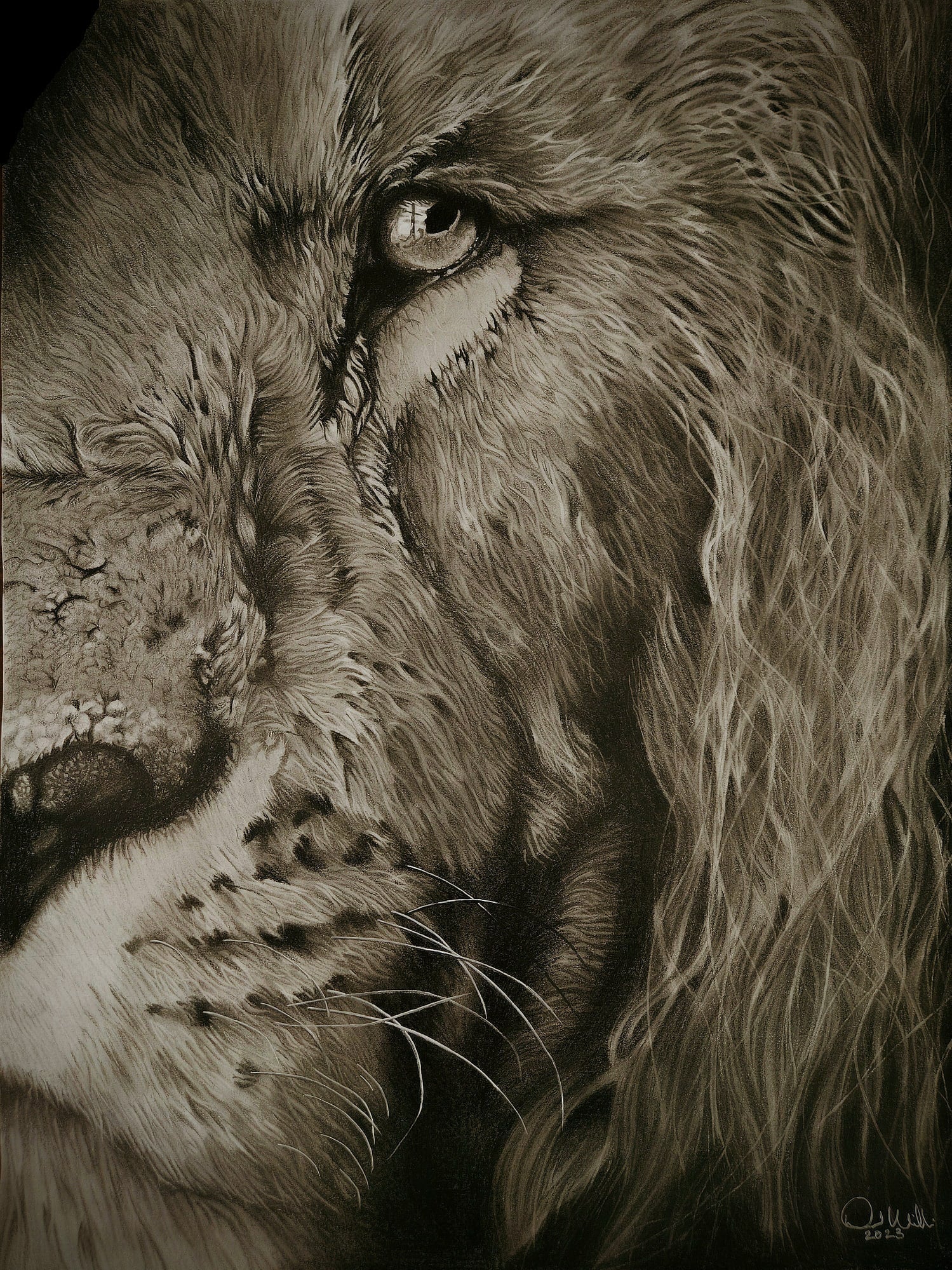 The Lion Worships THE LION - Image 3